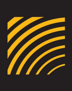 Palton Morgan Holdings